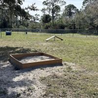 Paw Park- Bradenton ico