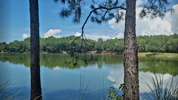Greenbrook Adventure Dog Park (Members Only) 1