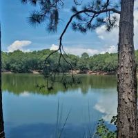 Greenbrook Adventure Dog Park (Members Only) ico