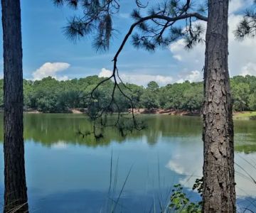 Greenbrook Adventure Dog Park (Members Only)