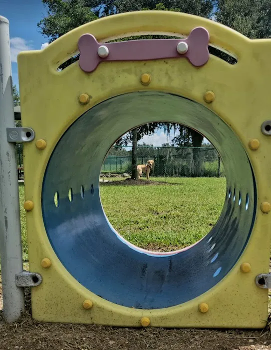 Greenbrook Adventure Dog Park (Members Only) 3