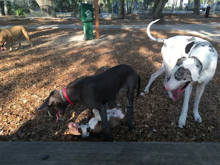 Happy Tails Dog Park 3