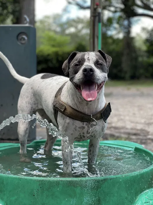 Happy Tails Dog Park 2
