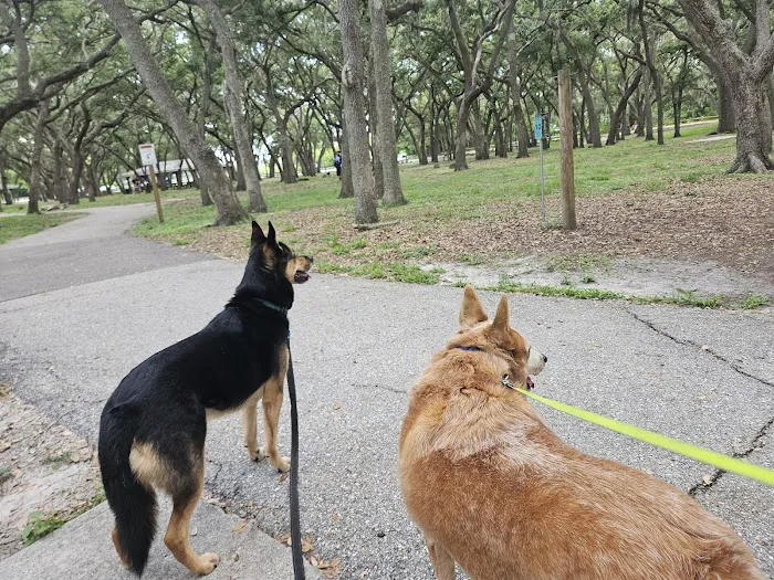 Happy Tails Dog Park 1