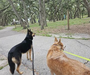 Happy Tails Dog Park