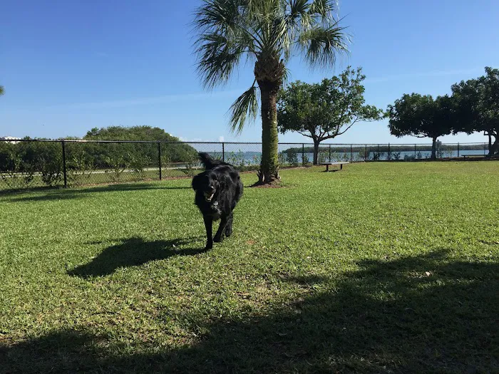 Eckerd College Pet Park 2