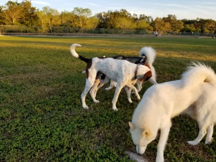 17th Street Paw Park 8