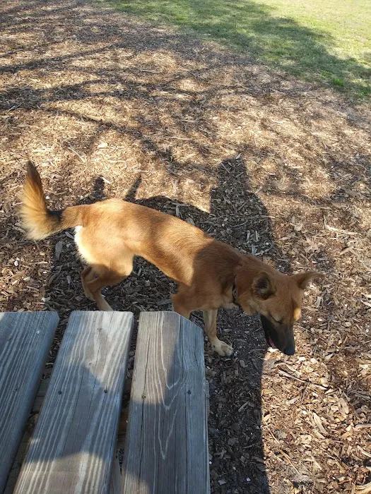 17th Street Paw Park 10