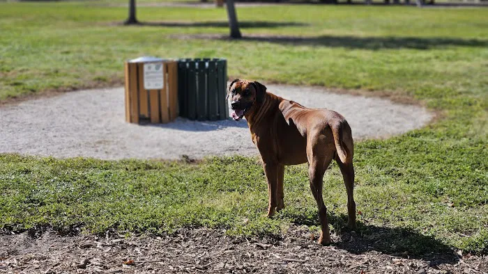 17th Street Paw Park 1