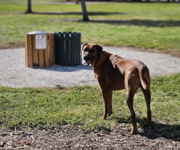 17th Street Paw Park