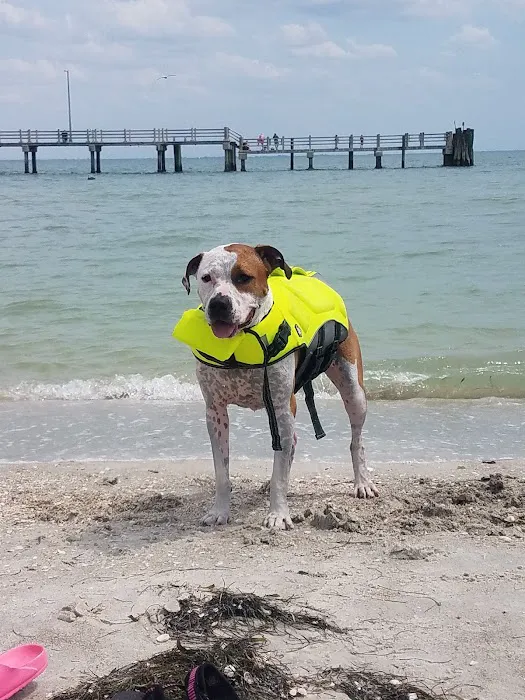 Fort De Soto Dog Park / Beach 1
