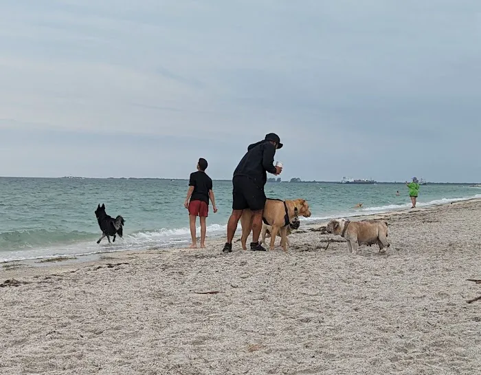 Fort De Soto Dog Park / Beach 2