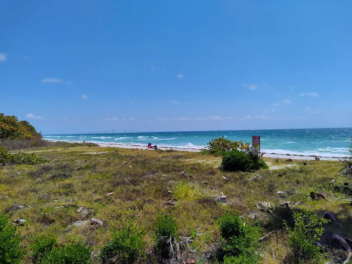 Fort De Soto Dog Park / Beach 9