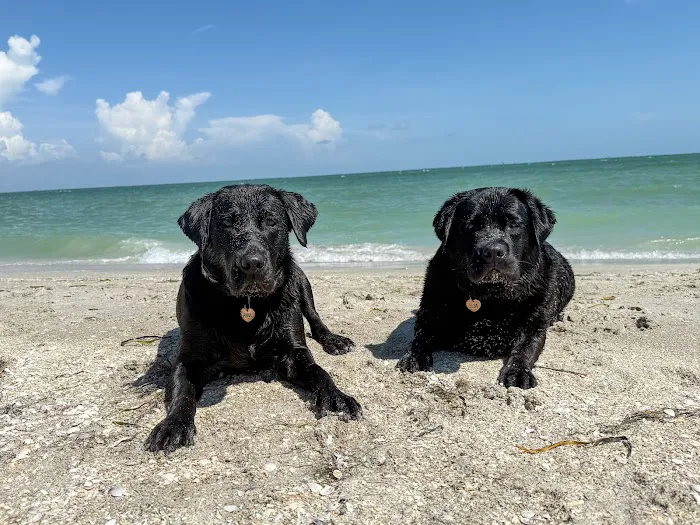 Fort De Soto Dog Park / Beach 10