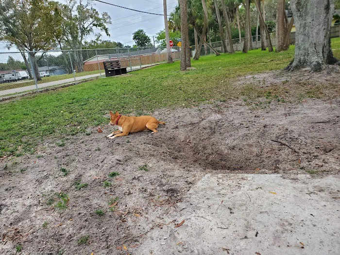 Broderick Dog Park 5