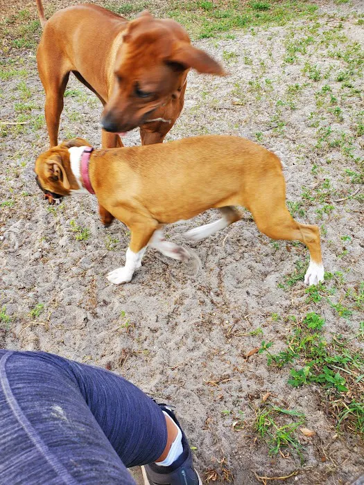 Broderick Dog Park 8