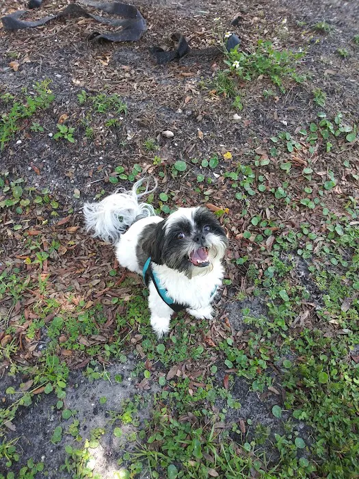 Helen Howarth Dog Park 5