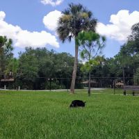 Helen Howarth Dog Park ico