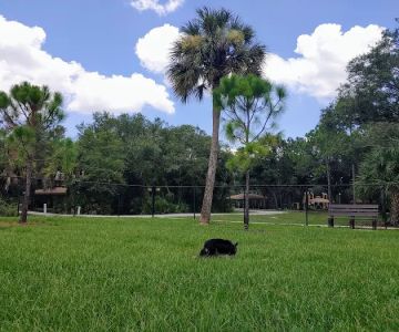 Helen Howarth Dog Park