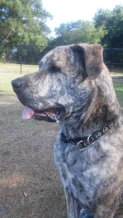 Helen Howarth Dog Park 9