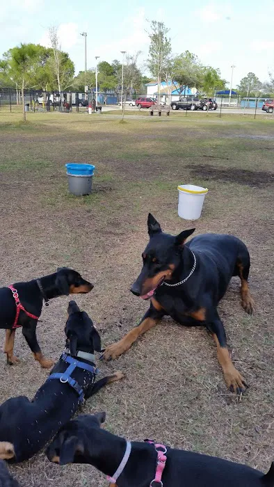 Helen Howarth Dog Park 6