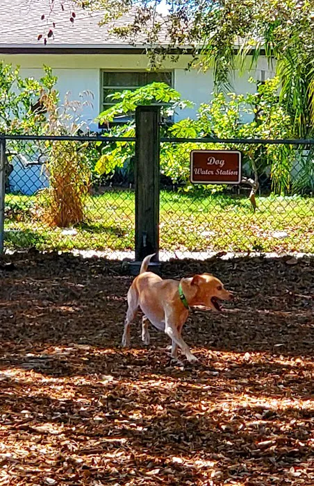St Pete Beach Dog Park 5