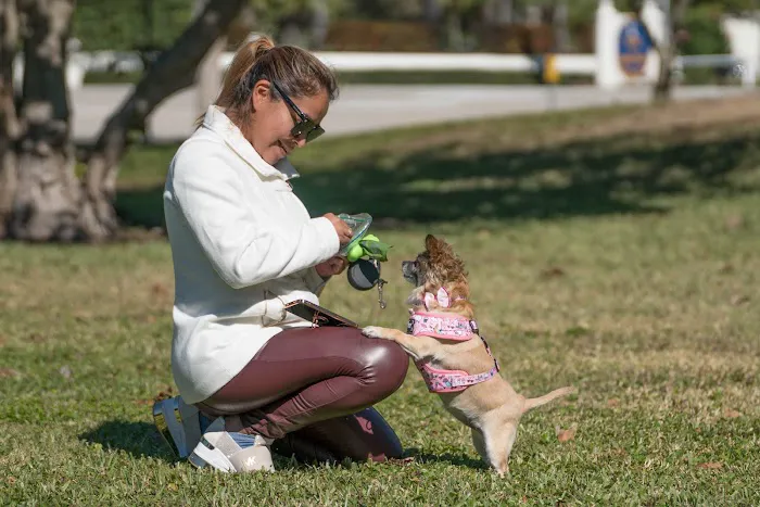 St Pete Beach Dog Park 8