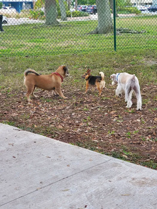 John Morroni Memorial Dog Park 6