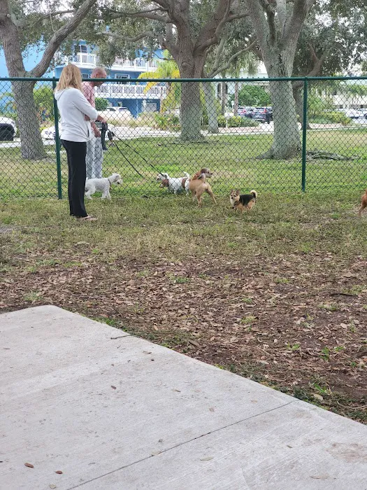 John Morroni Memorial Dog Park 3