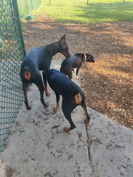 John Morroni Memorial Dog Park 9