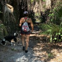 Boca Ciega Millennium Park Dog Park ico