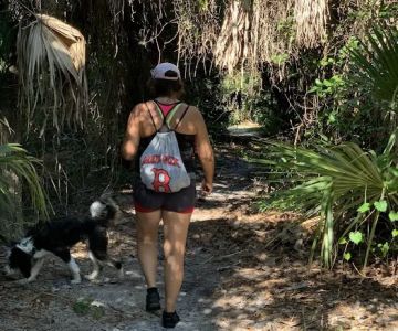 Boca Ciega Millennium Park Dog Park