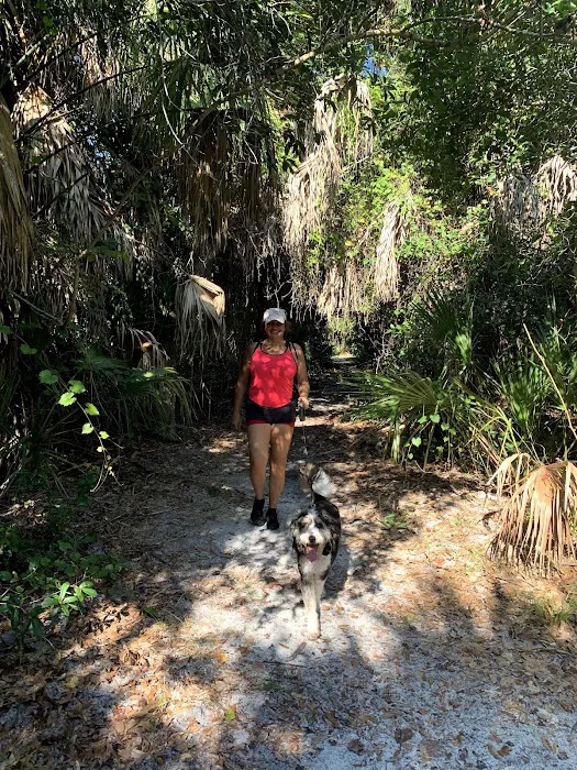 Boca Ciega Millennium Park Dog Park 2