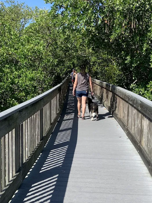 Boca Ciega Millennium Park Dog Park 6