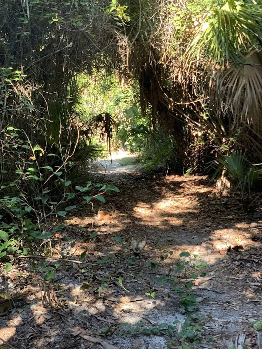 Boca Ciega Millennium Park Dog Park 3