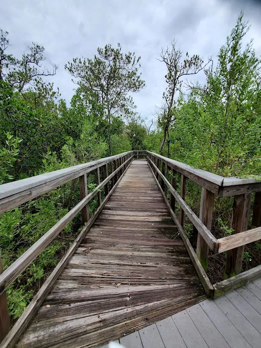Indian Rocks Beach Dog Park 7