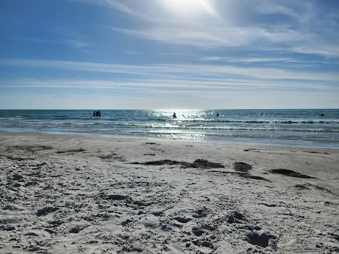 Indian Rocks Beach Dog Park 4