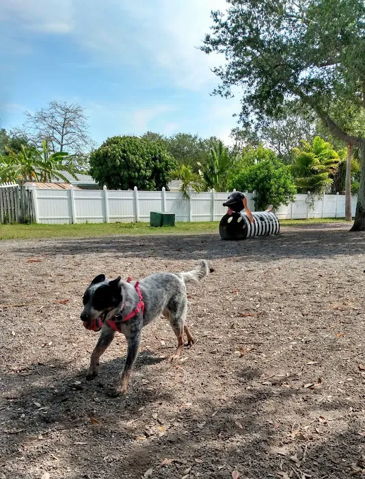 Indian Rocks Beach Dog Park 1