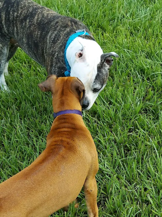 Logan Gate Dog Park 2