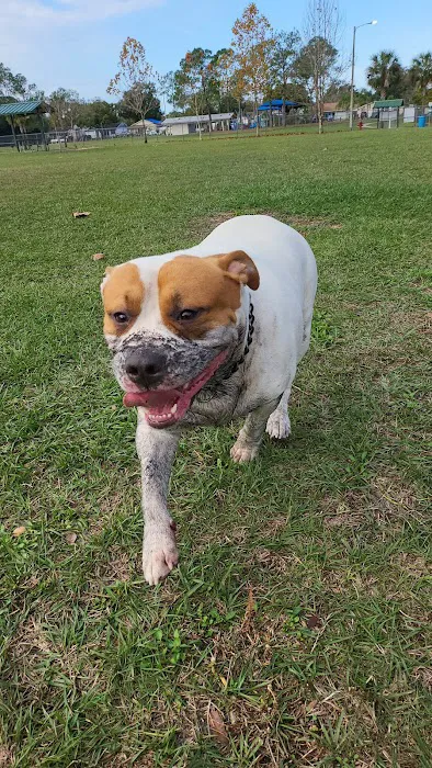 Logan Gate Dog Park 1