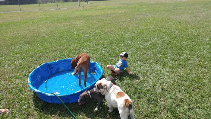 Logan Gate Dog Park 8
