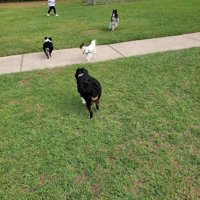 Logan Gate Dog Park 10