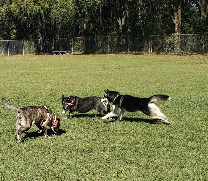 Logan Gate Dog Park 4