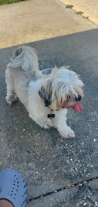 Don Hardy Park 10