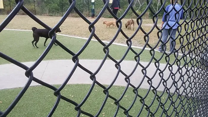 Northwest County Dog Park 8