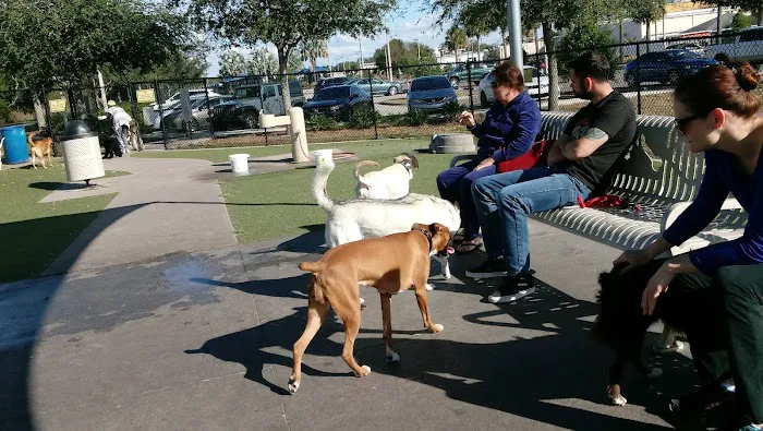 Northwest County Dog Park 4