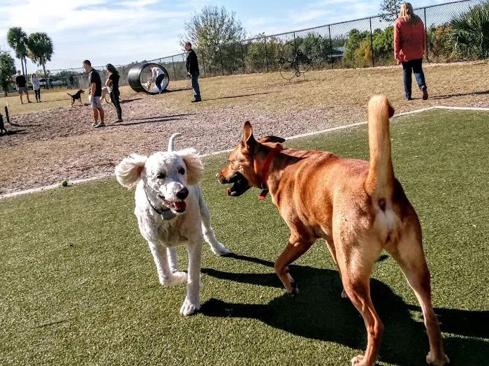 Northwest County Dog Park 9