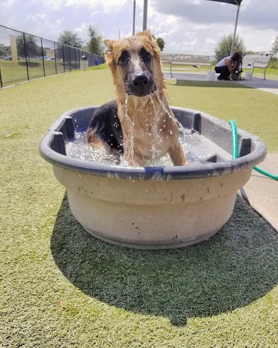Northwest County Dog Park 3