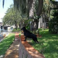 Northwest County Dog Park ico