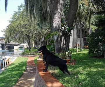 Northwest County Dog Park